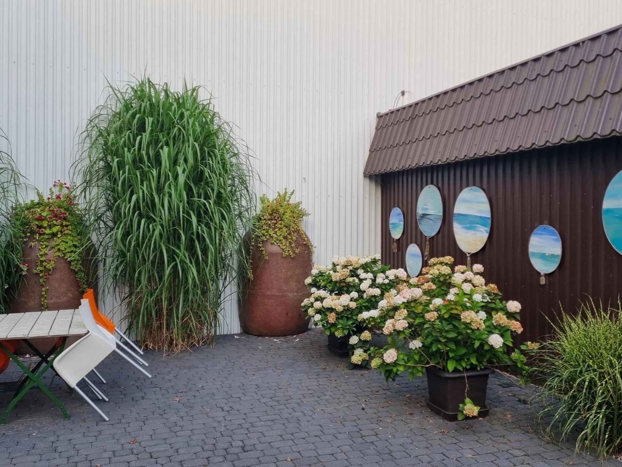 Comfortable Holiday Homes Close To Sea, Grzybowo Grzybowo  Esterno foto